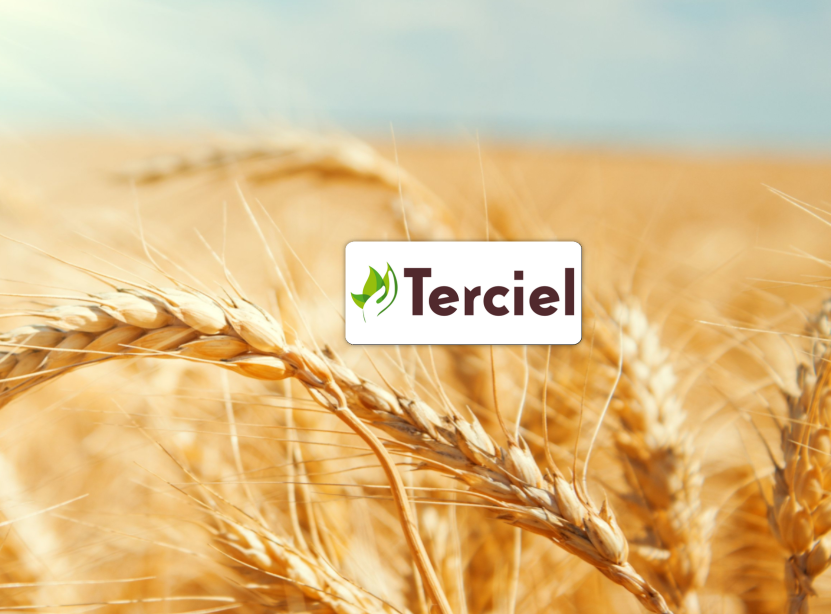 Terciel : portail Terrena, connexion et gestion de votre exploitation Terciel : portail Terrena, connexion et gestion de votre exploitation